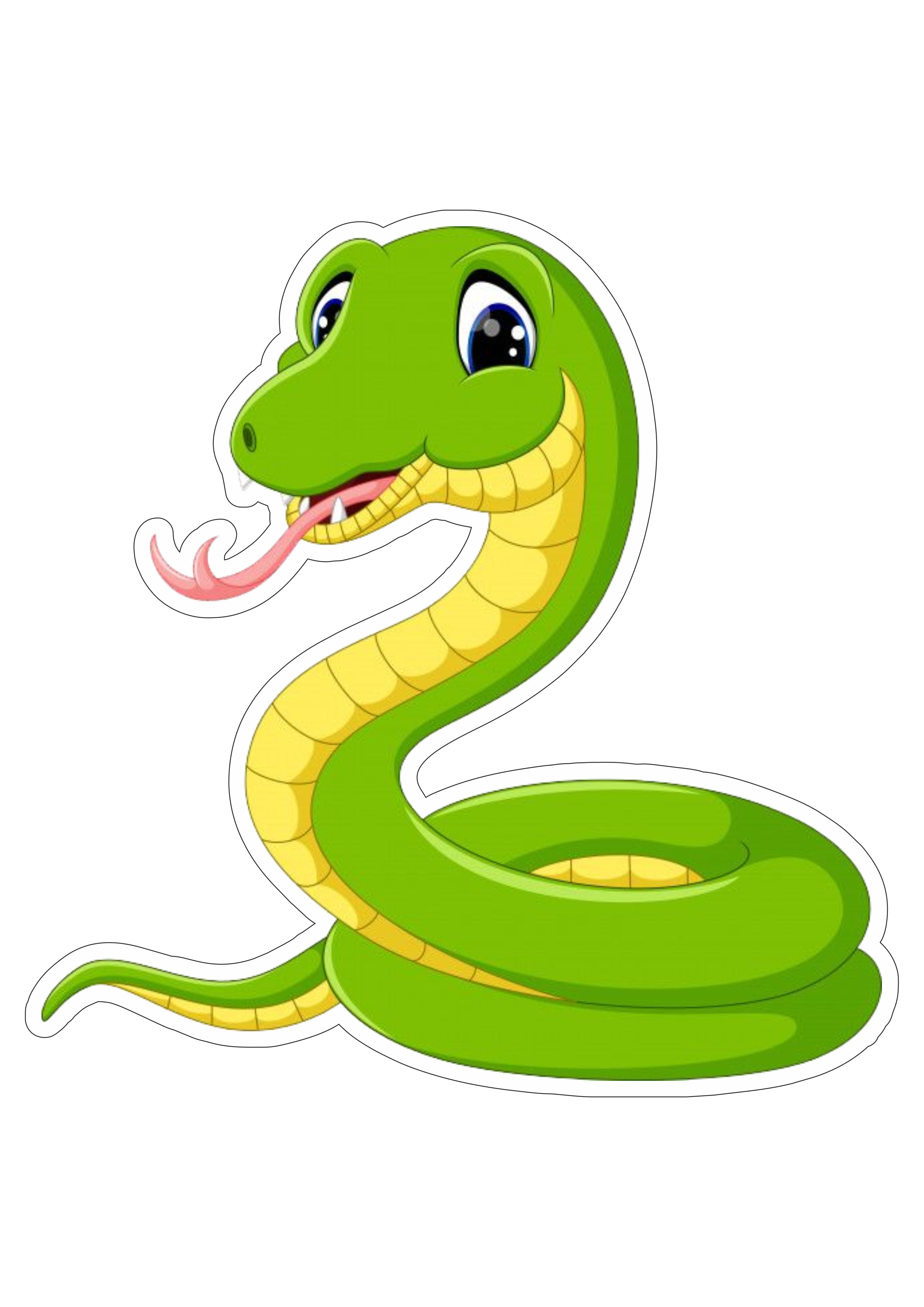 Части тела змеи для детей. Внешнее строение змеи. Части тела змеи на английском. Части тела змеи наружное.