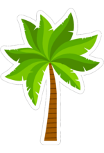 artpoin-palmeira-imagem-sem-fundo