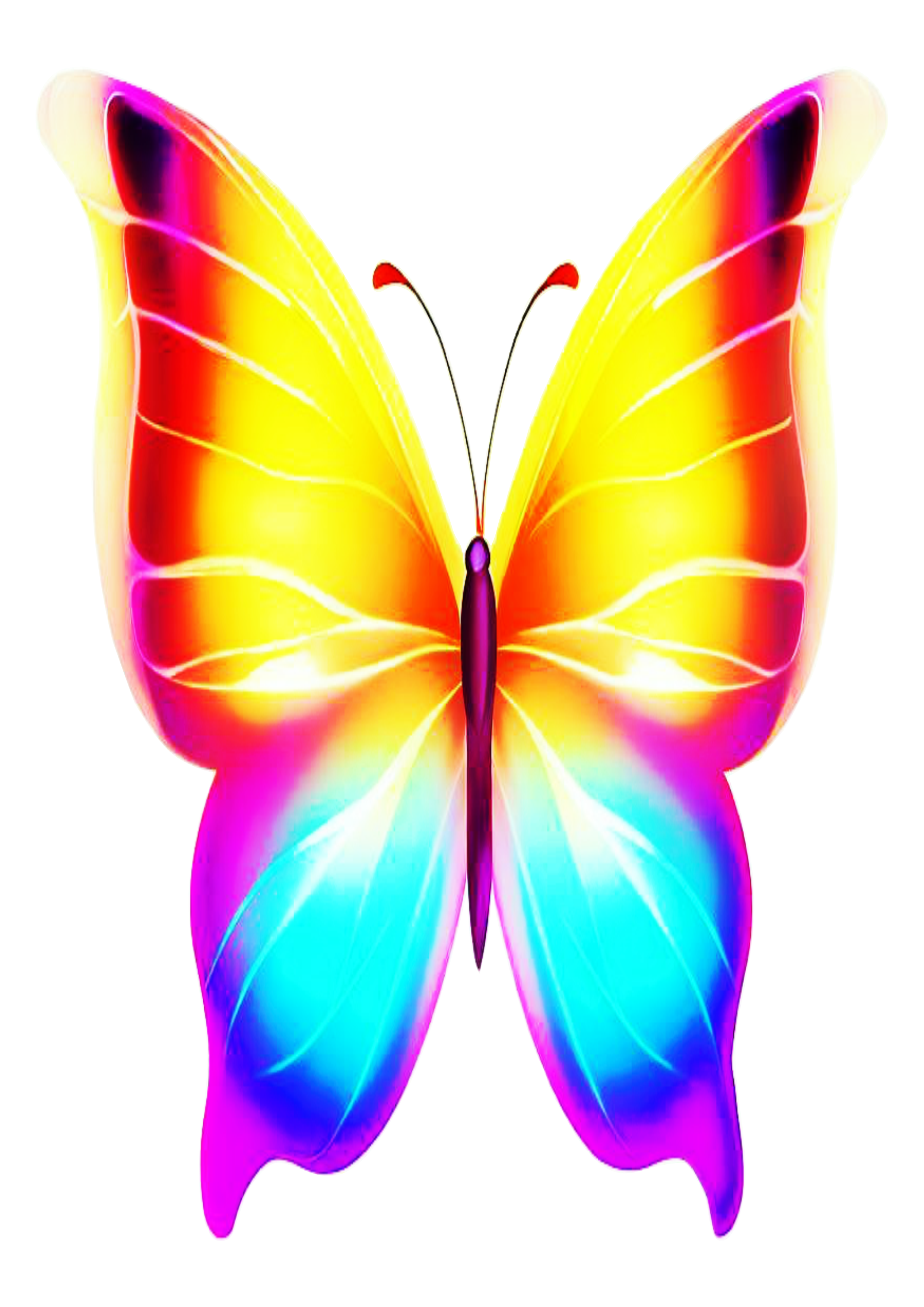 Ilustração de borboleta brilhante multicolorida aquarela azul roxo rosa amarelo pintura artes gráficas png