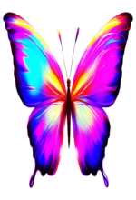 artpoin-borboletas-coloridas-art11