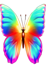artpoin-borboletas-coloridas-art3