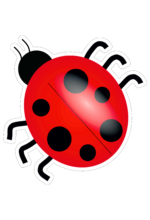 artpoin-Ladybug16