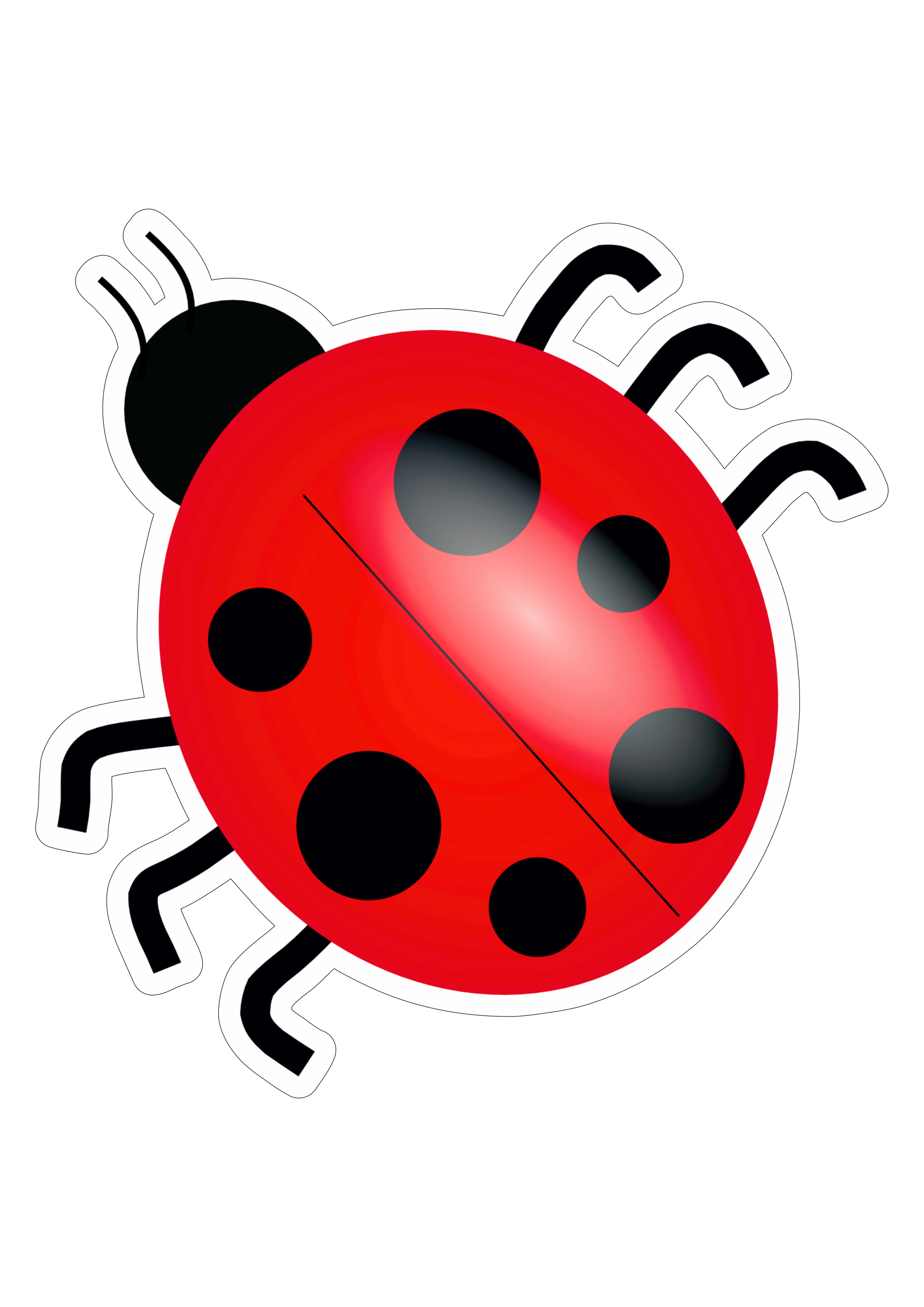 Arquivo de ladybug - Art Poin