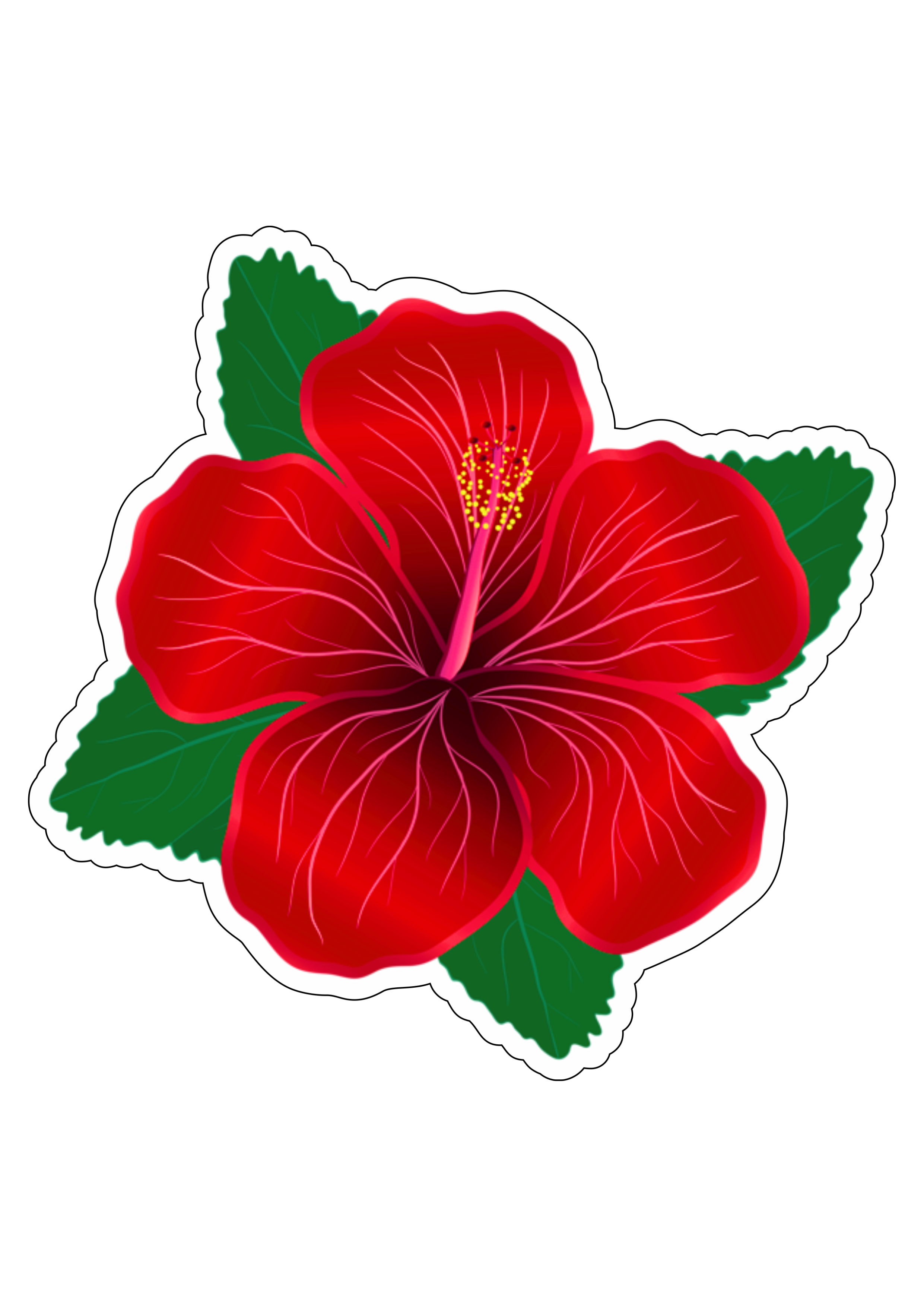 Flor vermelha tropical colorida desenho moana imagem sem fundo com contorno png