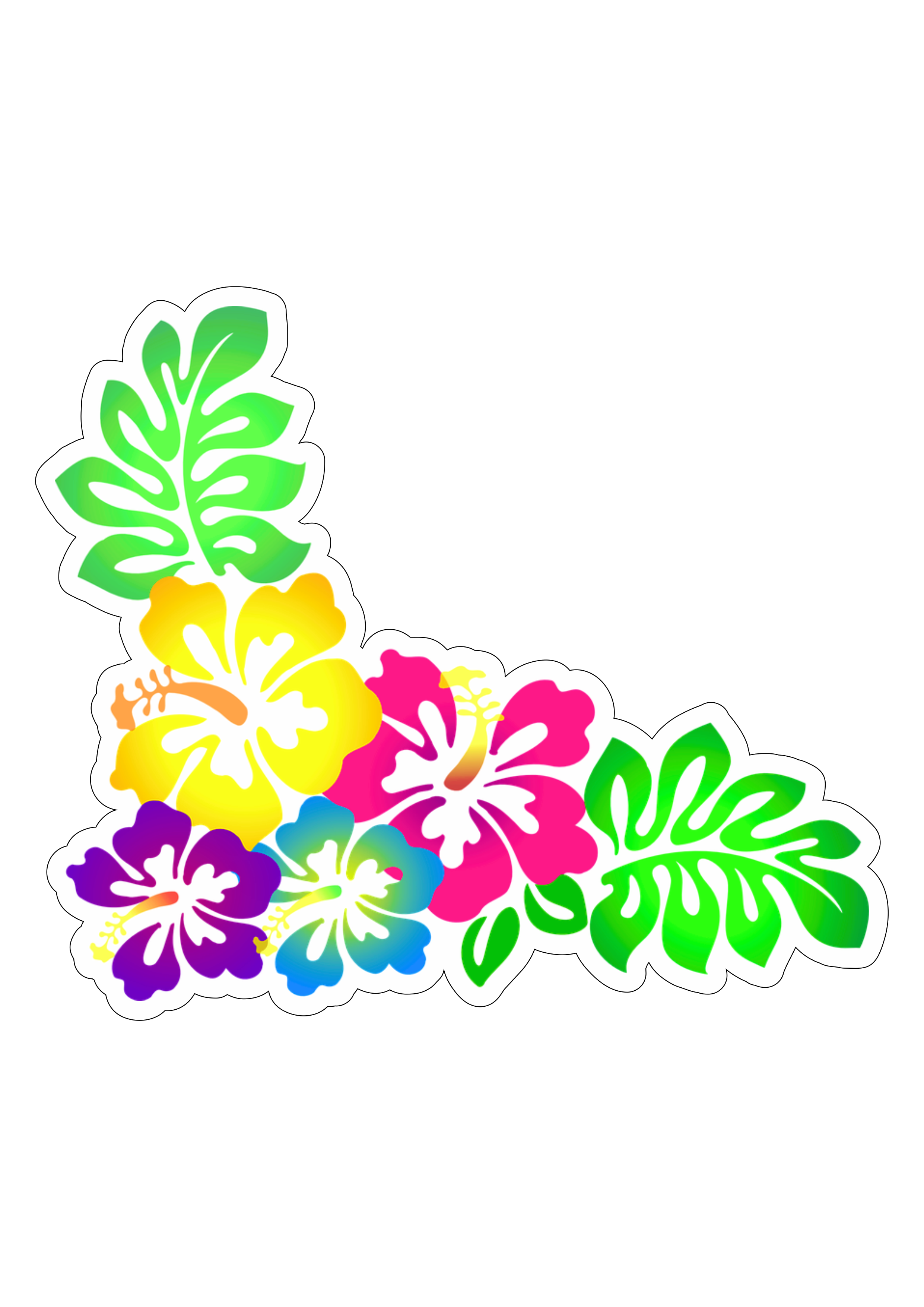 Flores coloridas tropical desenho ilustração Moana imagem sem fundo com contorno png