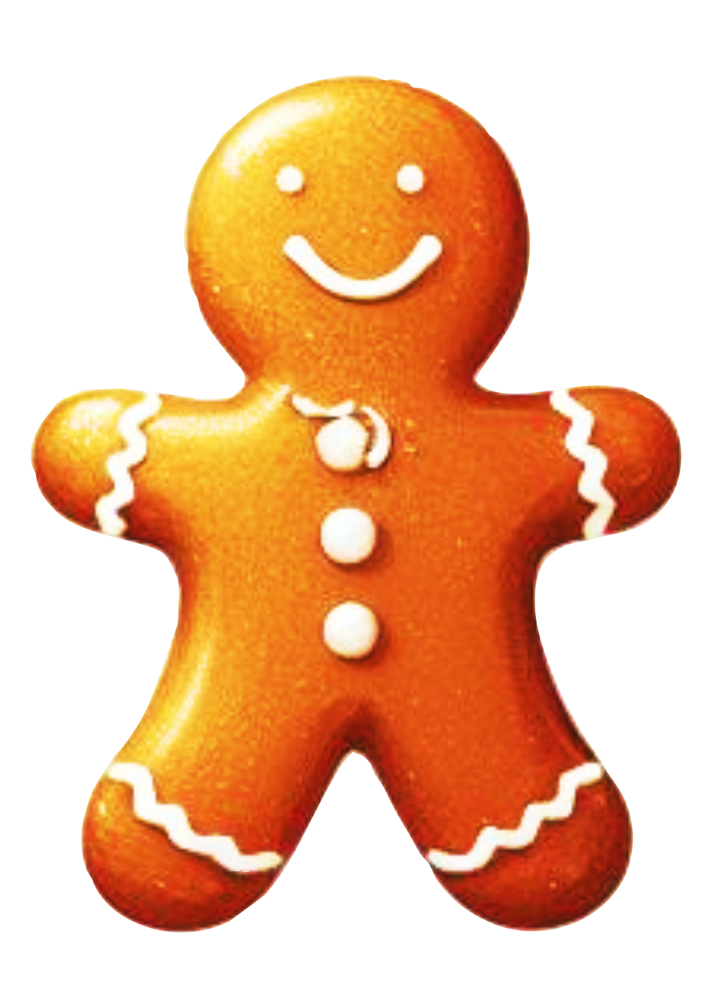 Natal homem biscoito de gengibre png