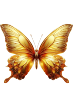 artpoin-borboleta-design