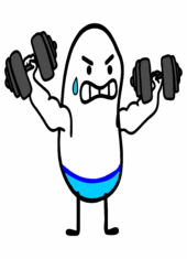 flork of cows academia musculação