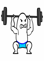 flork of cows academia musculação1